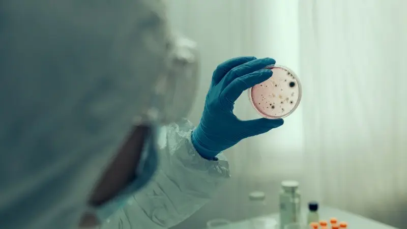 Blood analysis - pandemic risks - 800x450