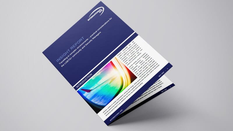 LGBTQ Insight Report Mockup